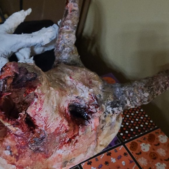 Custom Halloween Costumes - Picture 4 of 5